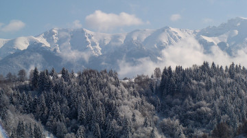 Картинка природа зима ели снег горы