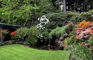 Картинка природа парк фонтан рододендроны