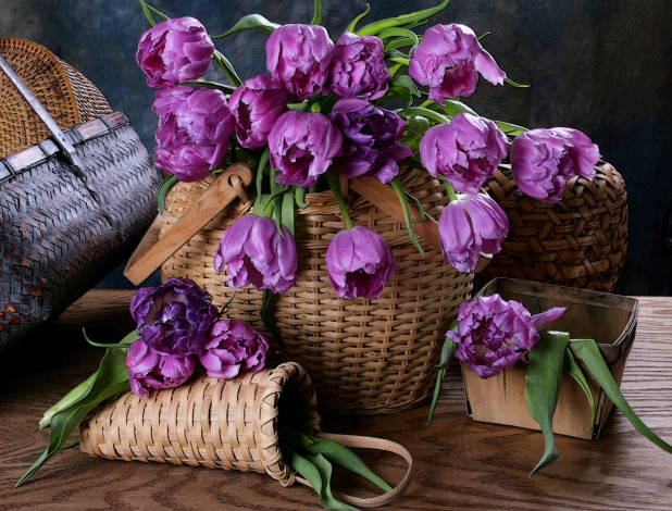 Обои картинки фото цветы, тюльпаны, лиловый, корзины