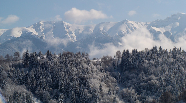 Обои картинки фото природа, зима, ели, снег, горы