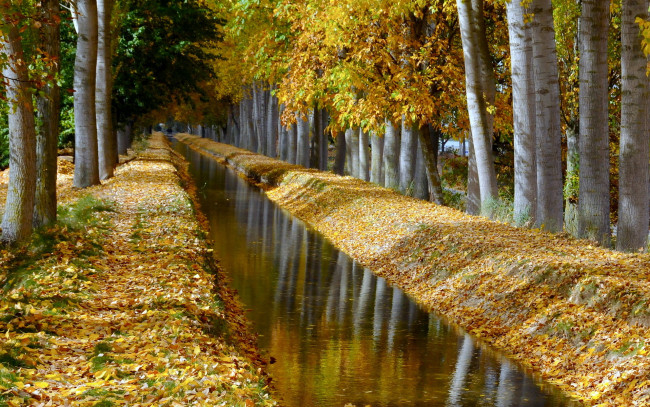 Обои картинки фото природа, парк, аллея, деревья, канал, осень