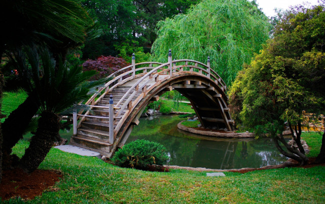 Обои картинки фото природа, парк, деревья, водоем, мостик