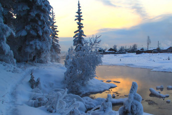 Картинка природа зима снег елка