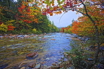 Картинка природа реки озера краски поток осень камни река лес