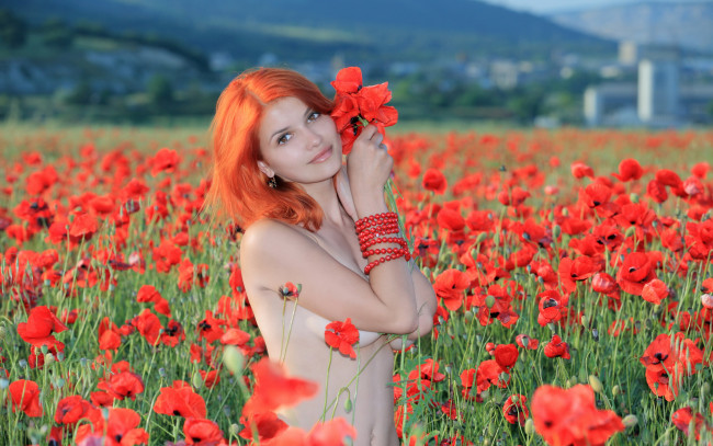 Обои картинки фото violla, девушки, -unsort , рыжеволосые и другие цвета, рыжая, девушка, маки, цветы