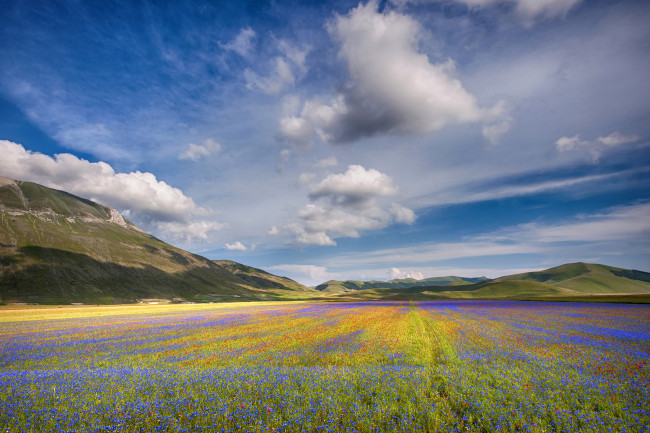 Обои картинки фото природа, поля, облака, краски, цветы, холмы, поле