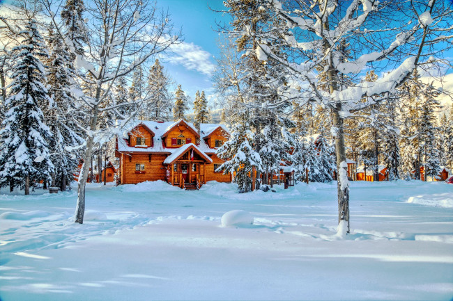 Обои картинки фото природа, зима, дом, снег, деревья