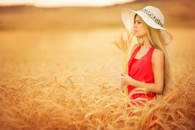 Обои картинки фото девушки, -unsort , блондинки, поле, колоски, девушка, в, красном, шляпка