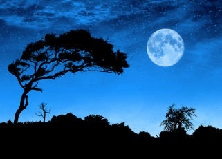 обоя космос, луна, пейзаж, ночь, силуэты
