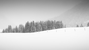 Картинка природа зима снег поле