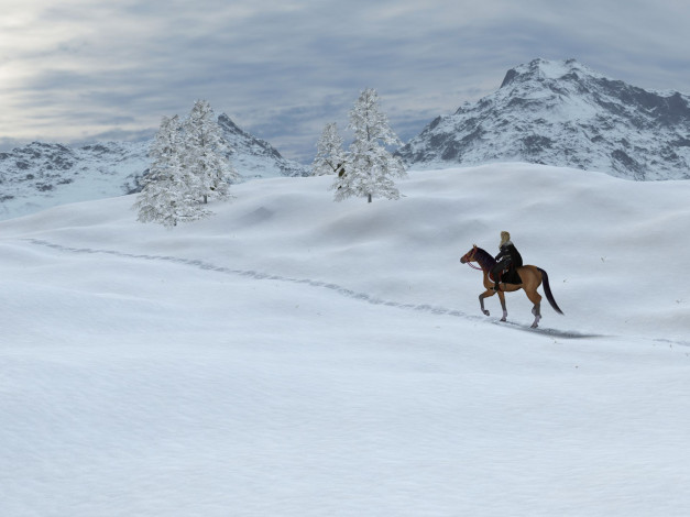 Обои картинки фото 3д графика, люди , people, снег, конь, наездница, девушка