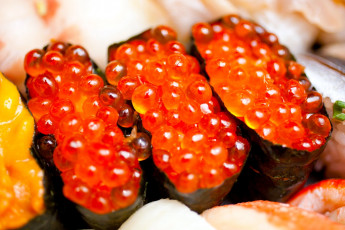 Картинка еда рыба +морепродукты +суши +роллы макро икра