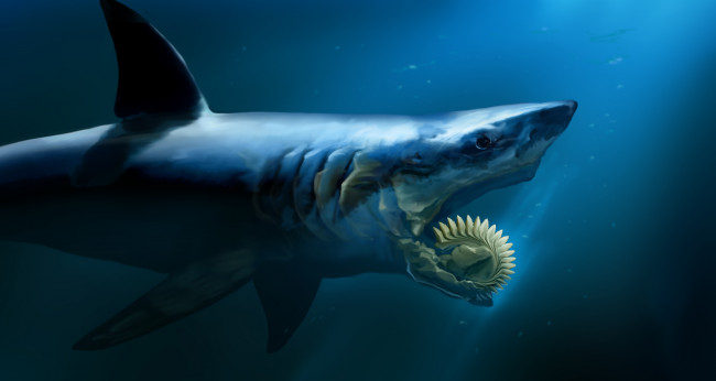 Обои картинки фото фэнтези, существа, рыба, вода, мир, подводный, челюсти, акула, attack, мутант, существо, монстр, shark