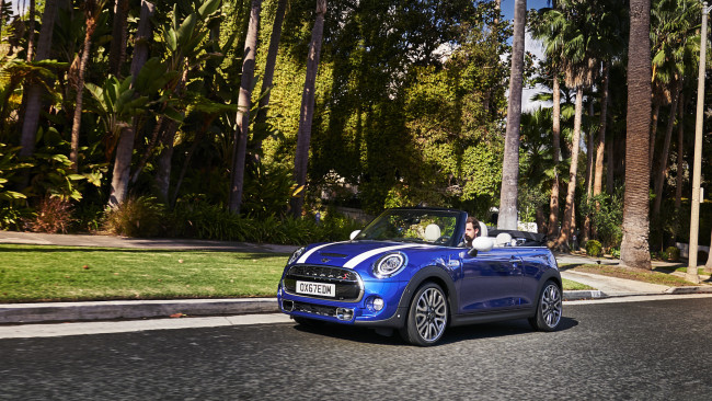 Обои картинки фото mini cabrio 2019, автомобили, mini, blue, 2019, cabrio