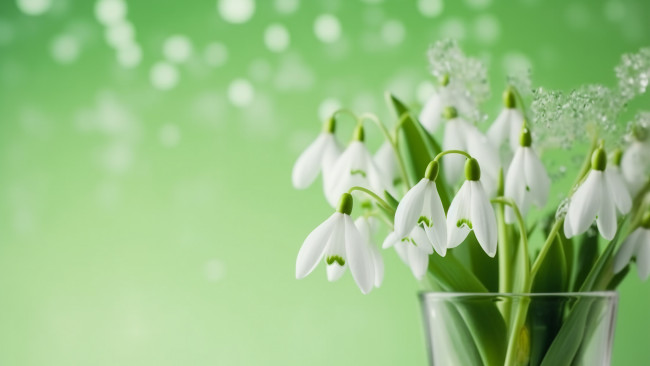 Обои картинки фото рисованное, цветы, букет, весна, подснежники, ваза, белые, первоцветы, зеленый, фон