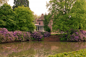 Картинка природа парк пруд цветущие кусты деревья домик