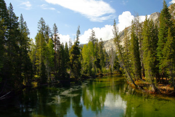 Картинка природа реки озера река деревья гора