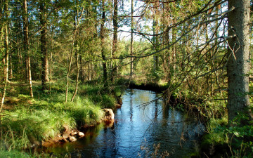 Картинка природа реки озера река лес деревья