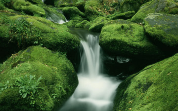 обоя природа, реки, озера, вода, поток, ручей, камни, валуны, зеленое, мох, каскады