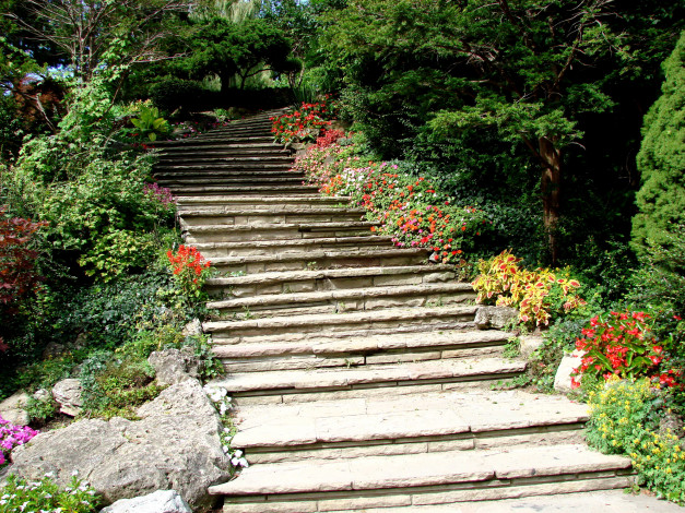 Обои картинки фото природа, парк, лестница, ступени, цветы