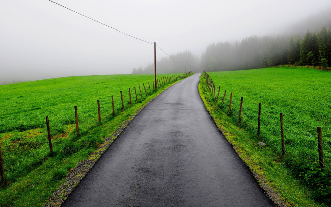 Обои картинки фото природа, дороги, забор, поле, туман