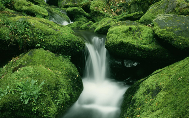 Обои картинки фото природа, реки, озера, вода, поток, ручей, камни, валуны, зеленое, мох, каскады