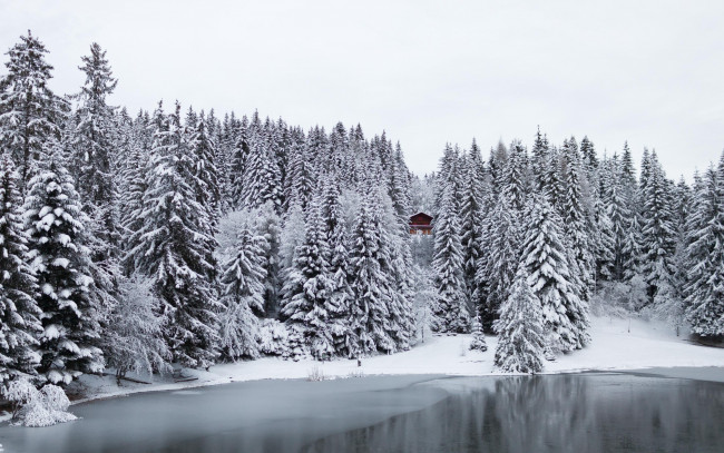 Обои картинки фото природа, зима, ели, деревья, лес, дом, озеро, снег