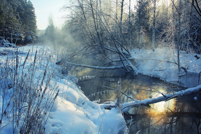 Обои картинки фото природа, зима, деревья, река, снег