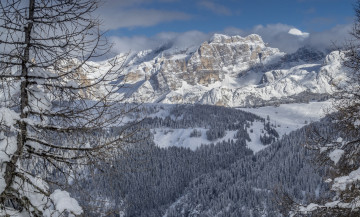Картинка dolomites +italy природа горы italy дерево лес зима доломитовые альпы италия
