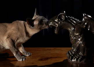 Картинка животные коты статуэтка кошак котяра кот