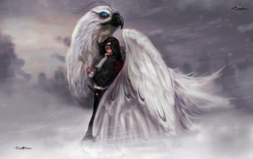 Картинка фэнтези красавицы+и+чудовища самолет защита девушка вьюга буря снег птица