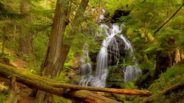 Картинка природа водопады лес река деревья