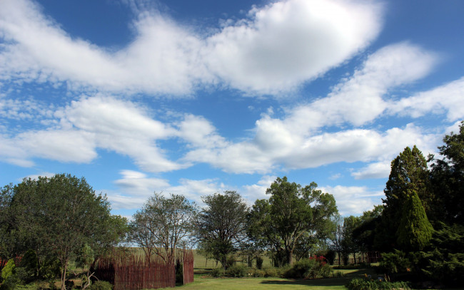 Обои картинки фото природа, облака, небо, лето, деревья