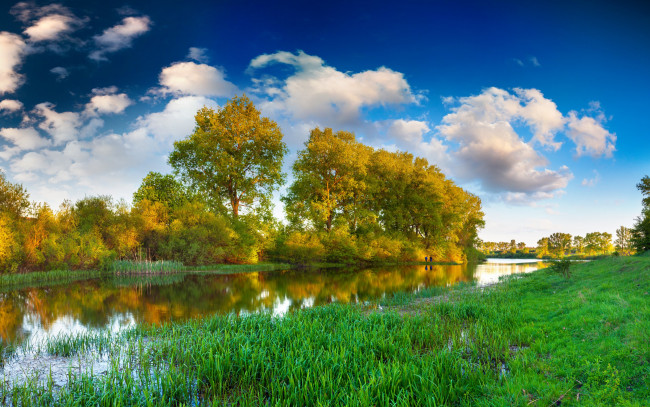 Обои картинки фото природа, реки, озера, облака, трава, деревья