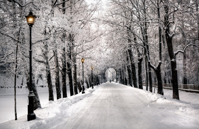 Обои картинки фото природа, зима, снег, фонари, аллея, парк