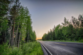 Картинка природа дороги дорога деревья лес пейзаж закат