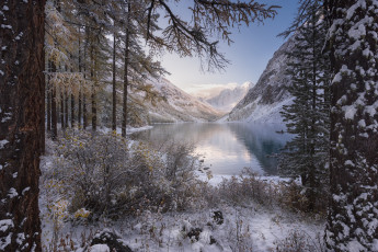 Картинка природа реки озера лес деревья кусты озеро снег горы зима