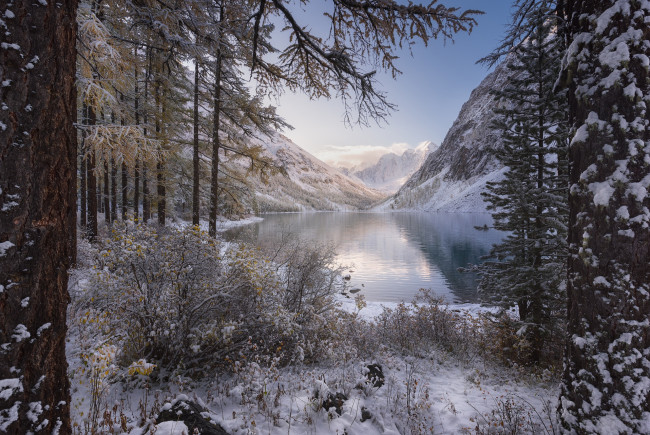 Обои картинки фото природа, реки, озера, лес, деревья, кусты, озеро, снег, горы, зима