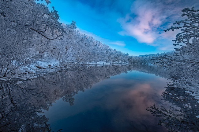 Обои картинки фото природа, реки, озера, река, отражение, деревья, lapland, лес, зима, finland, финляндия