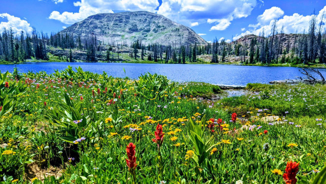 Обои картинки фото twin lake, uinta mountains, utah, природа, реки, озера, twin, lake, uinta, mountains