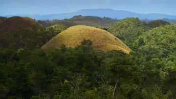 Картинка chocolate+hills bohol philippines природа горы chocolate hills