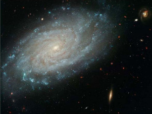 Картинка ngc 3370 космос галактики туманности