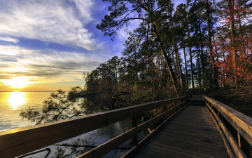 Картинка природа дороги озеро мостик лес
