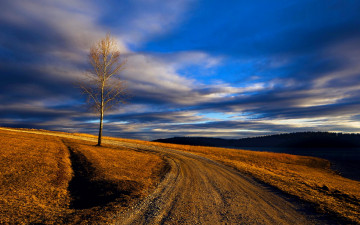 Картинка природа дороги тучи дерево дорога поле