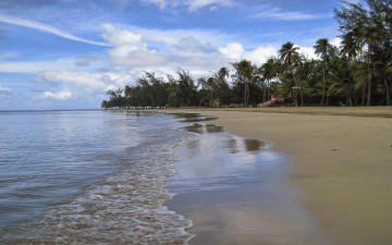 Картинка природа тропики песок пляж океан пальмы