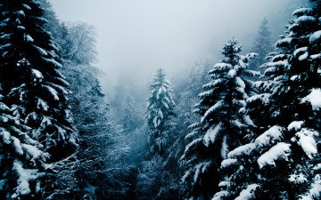 Картинка природа зима switzerland rigi lucerne