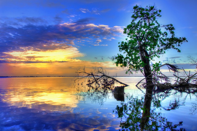 Обои картинки фото природа, деревья, вода, закат, отражение, река