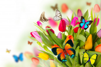 обоя разное, компьютерный дизайн, flowers, colorful, spring, butterflies, tulips, fresh, beautiful, цветы, тюльпаны, бабочки, весна