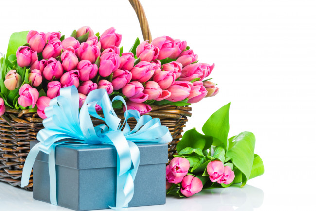 Обои картинки фото цветы, тюльпаны, подарок, бант