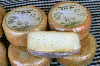Картинка el+lligat еда сырные+изделия сыр